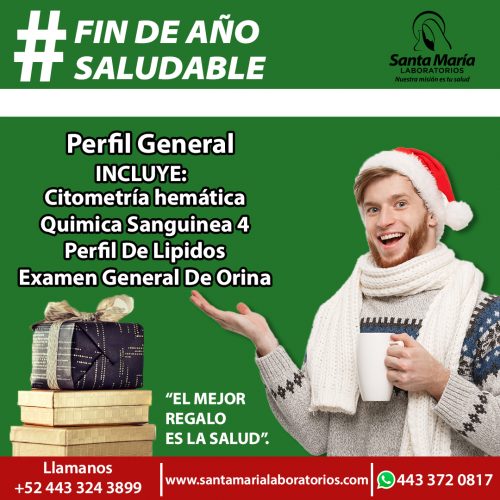 Perfil General de fin de año